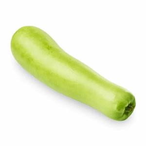 Bottle gourd – సొరకాయ