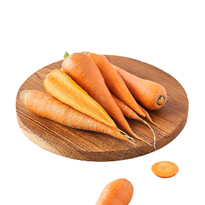 Carrot – క్యారెట్